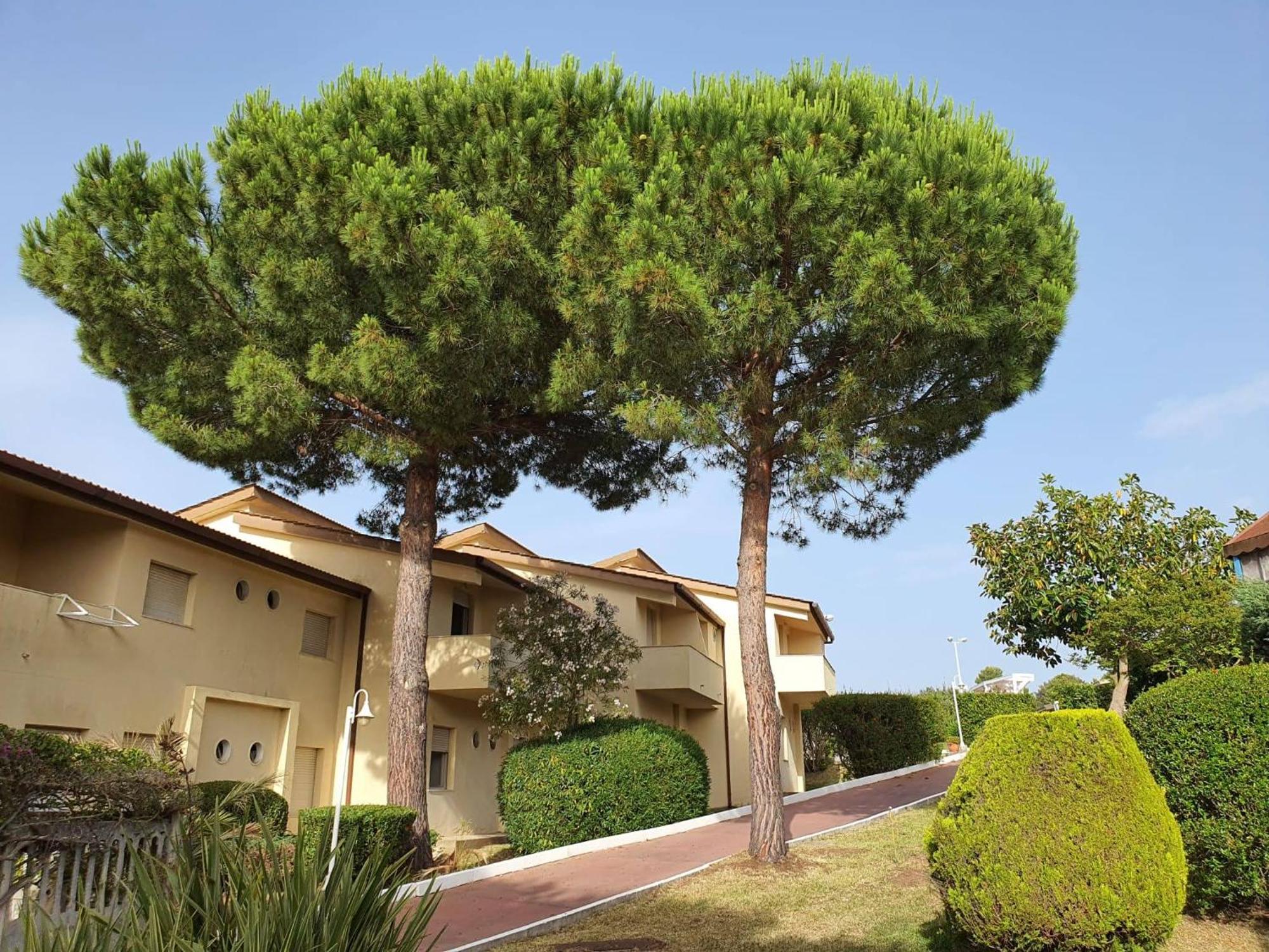 Villaggio Hotel Club La Pace Tropea Exterior foto